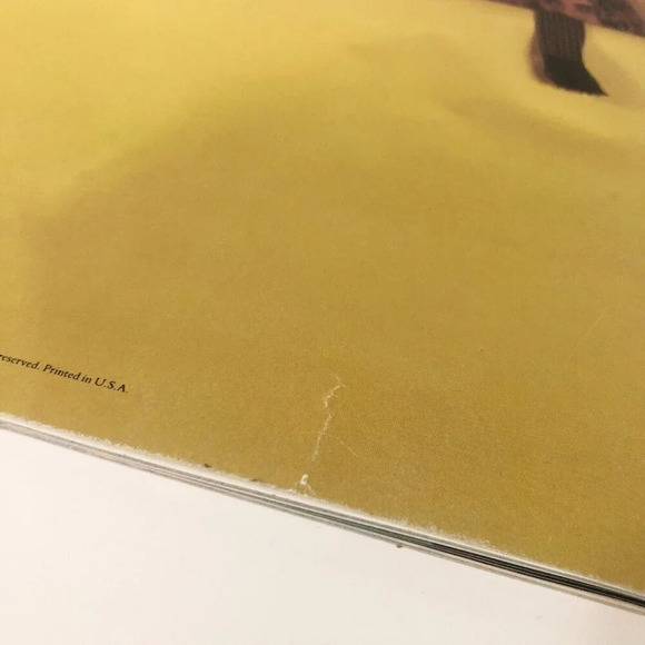 Vintage 1990 Led Zeppelin Tour Book Concert  Program - Picture 4 of 16